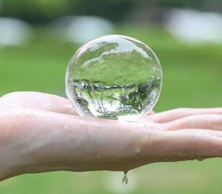 Aloe orb portrait 2